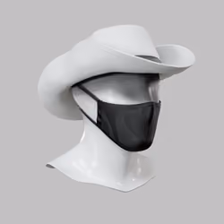 Incognito #7323