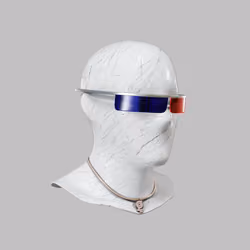 Incognito #1890