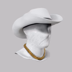 Incognito #3682