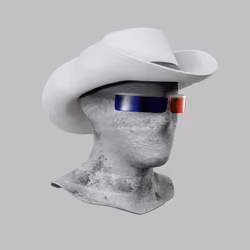 Incognito #729