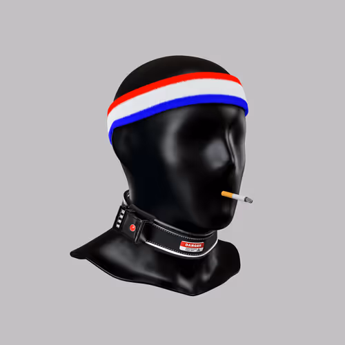 Incognito #667