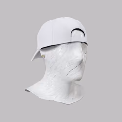 Incognito #8303