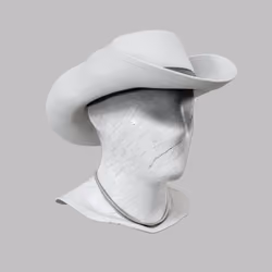 Incognito #6566