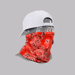 Incognito #627