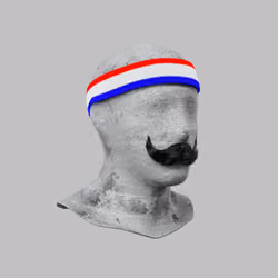 Incognito #1486