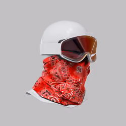 Incognito #2756
