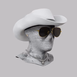 Incognito #9678