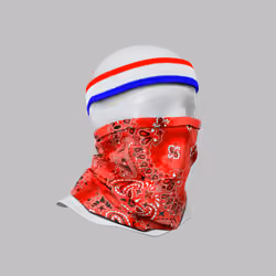 Incognito #6029