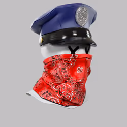 Incognito #6912