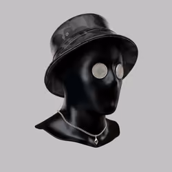Incognito #6751
