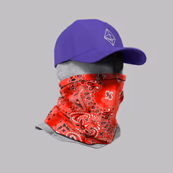 Incognito #4847