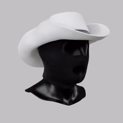 Incognito #6511