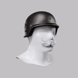 Incognito #5563