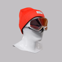 Incognito #5067