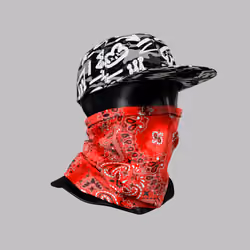 Incognito #4139
