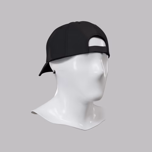 Incognito #464