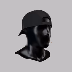 Incognito #8365