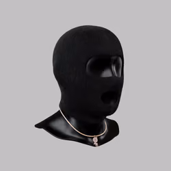 Incognito #2897