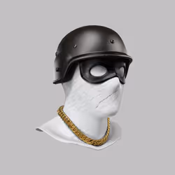 Incognito #4513
