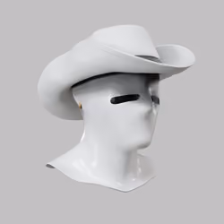 Incognito #6471