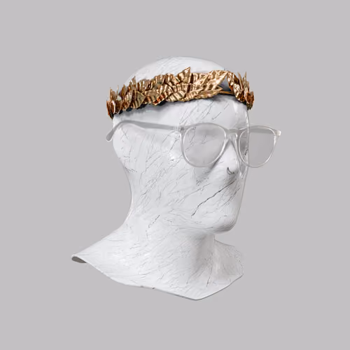 Incognito #2502
