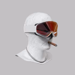 Incognito #3113