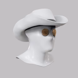 Incognito #9229