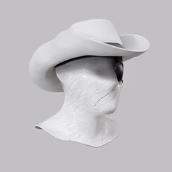 Incognito #3758