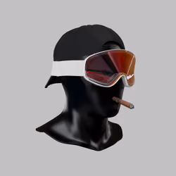 Incognito #5439
