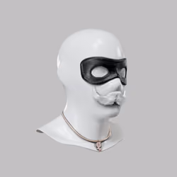 Incognito #4537