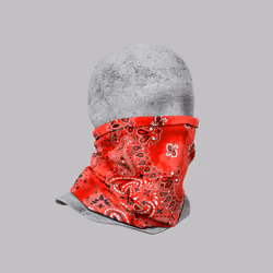Incognito #2344