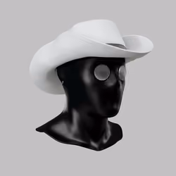 Incognito #9244