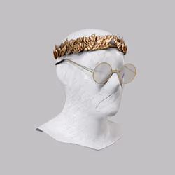 Incognito #9509