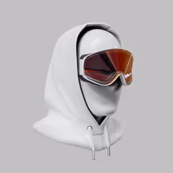 Incognito #9845