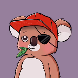 Koala Agent #1531