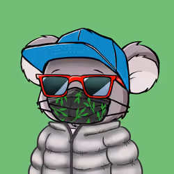 Koala Agent #5557