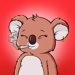Koala Agent #3484