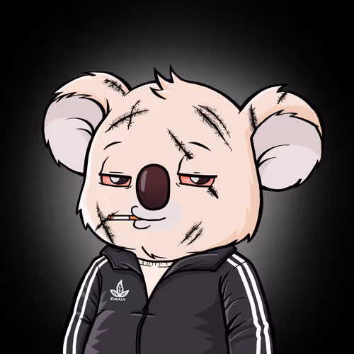 Koala Intelligence Agency