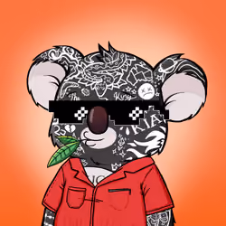 Koala Agent #2104