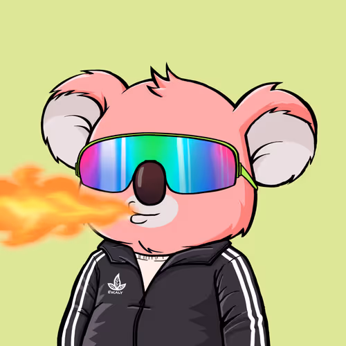 Koala Agent #9270