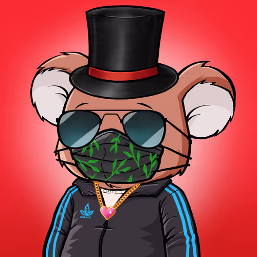 Koala Agent #4332