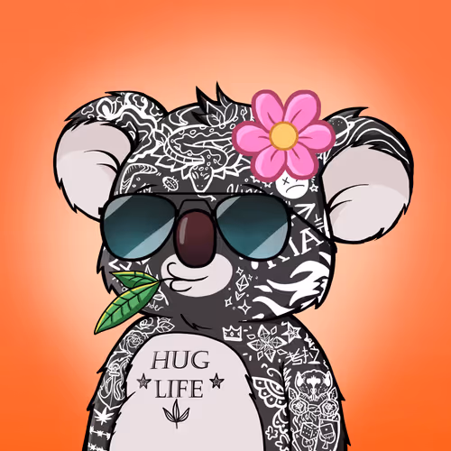Koala Agent #9311