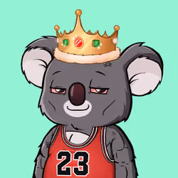 Koala Agent #269