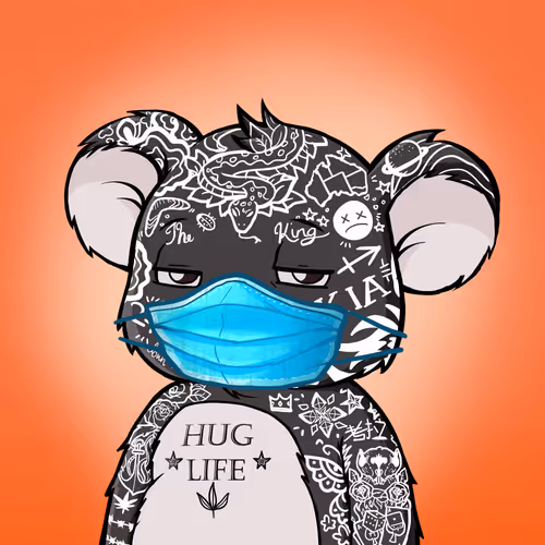 Koala Agent #7446
