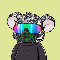 Koala Agent #8367