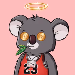 Koala Agent #7497