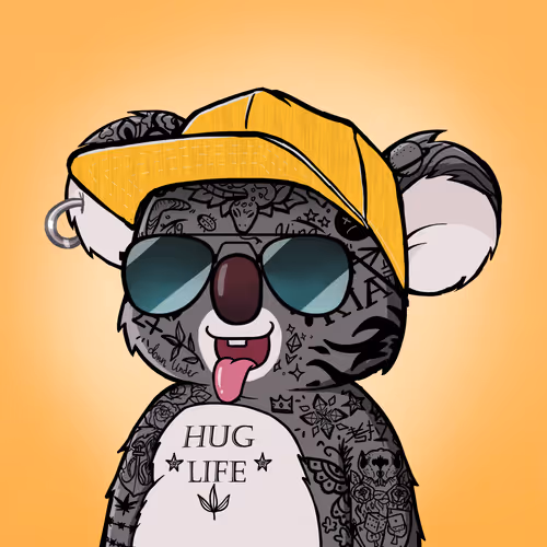Koala Intelligence Agency