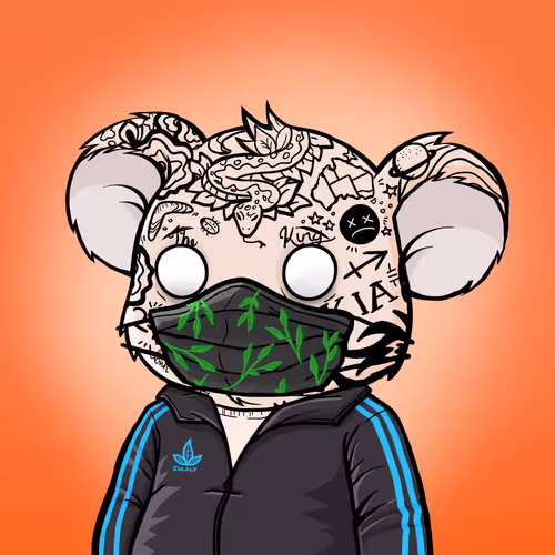 Koala Intelligence Agency
