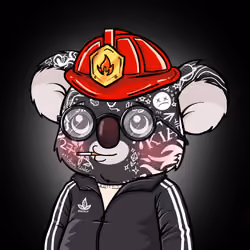Koala Agent #7233