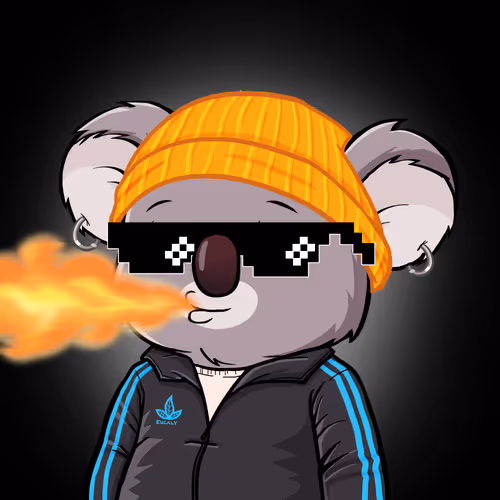 Koala Intelligence Agency
